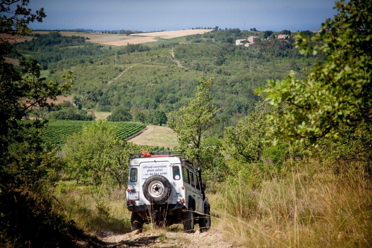 Al Merlo Olivo, Rural Istrian House Buje Bagian luar foto