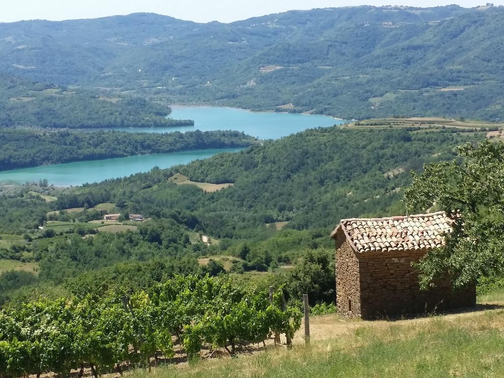 Al Merlo Olivo, Rural Istrian House Buje Bagian luar foto