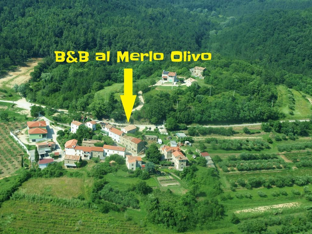 Al Merlo Olivo, Rural Istrian House Buje Bagian luar foto