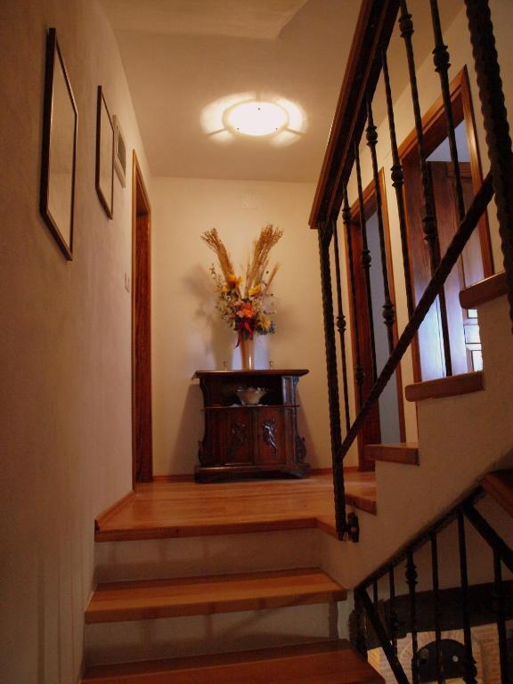 Al Merlo Olivo, Rural Istrian House Buje Bagian luar foto