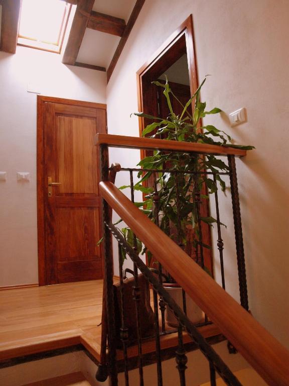 Al Merlo Olivo, Rural Istrian House Buje Bagian luar foto