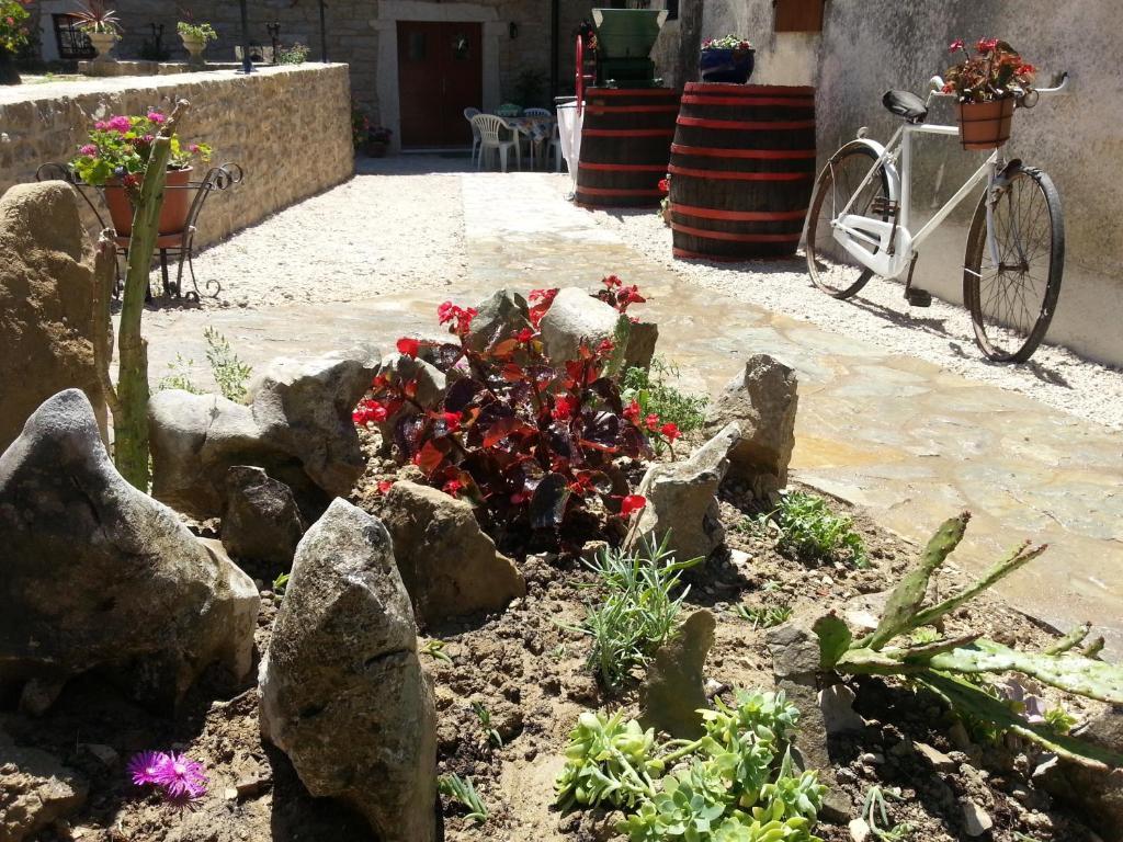 Al Merlo Olivo, Rural Istrian House Buje Bagian luar foto