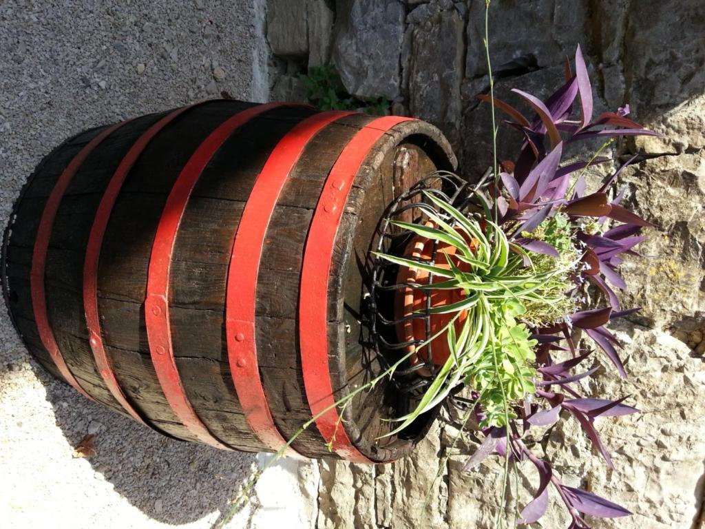 Al Merlo Olivo, Rural Istrian House Buje Bagian luar foto