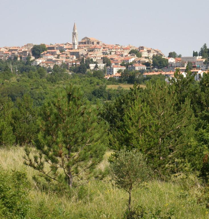 Al Merlo Olivo, Rural Istrian House Buje Bagian luar foto