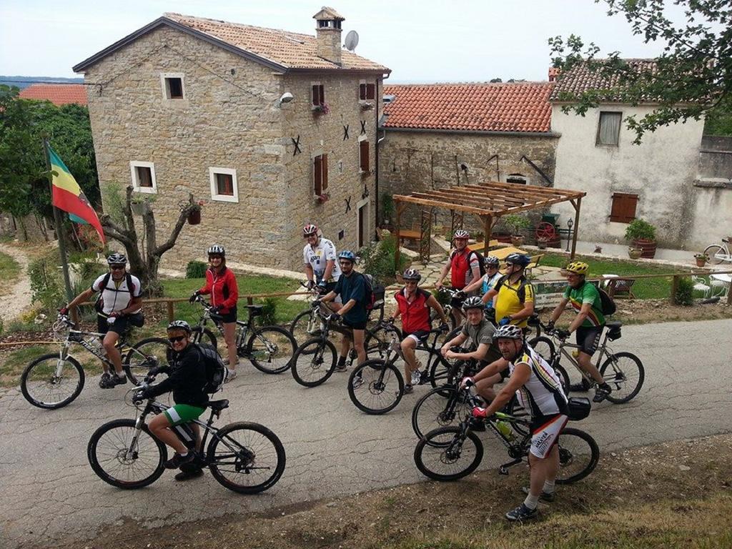 Al Merlo Olivo, Rural Istrian House Buje Bagian luar foto