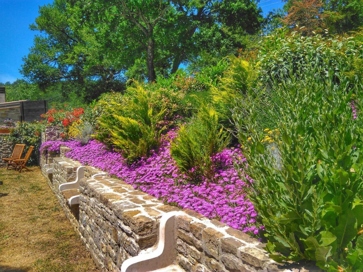 Al Merlo Olivo, Rural Istrian House Buje Bagian luar foto