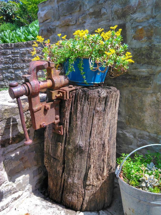 Al Merlo Olivo, Rural Istrian House Buje Bagian luar foto