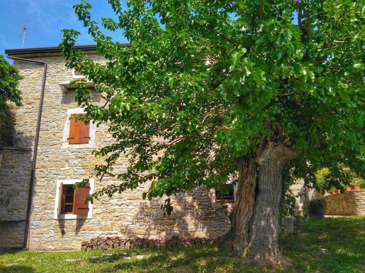 Al Merlo Olivo, Rural Istrian House Buje Bagian luar foto
