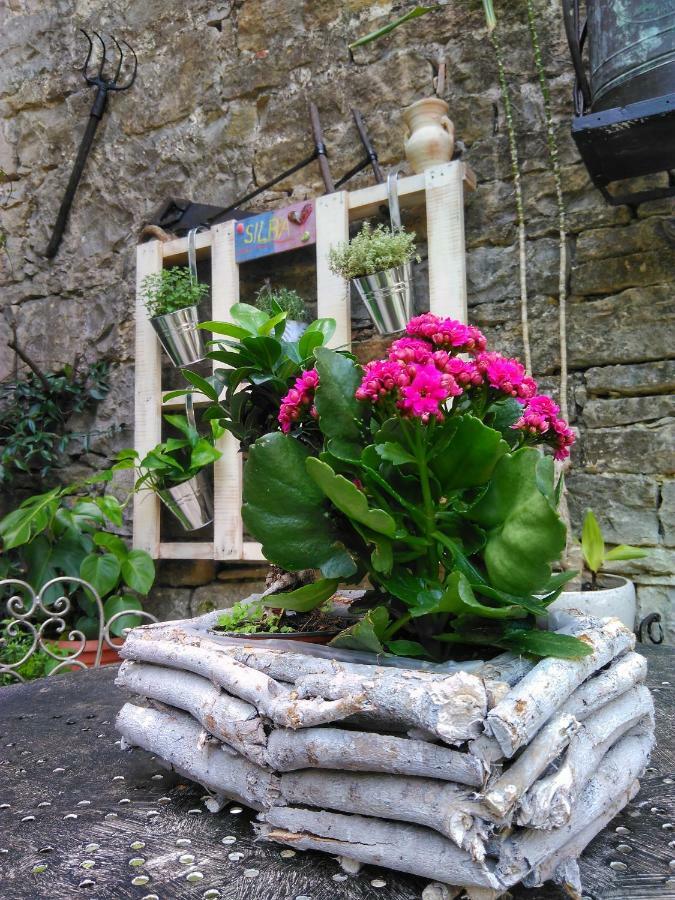 Al Merlo Olivo, Rural Istrian House Buje Bagian luar foto