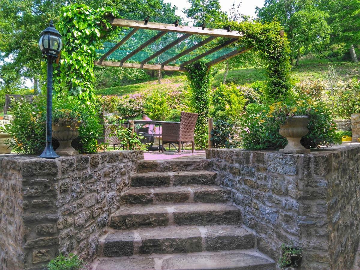 Al Merlo Olivo, Rural Istrian House Buje Bagian luar foto