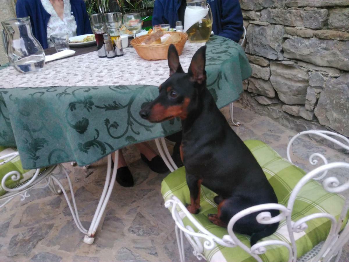 Al Merlo Olivo, Rural Istrian House Buje Bagian luar foto