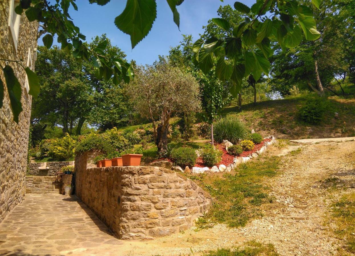 Al Merlo Olivo, Rural Istrian House Buje Bagian luar foto